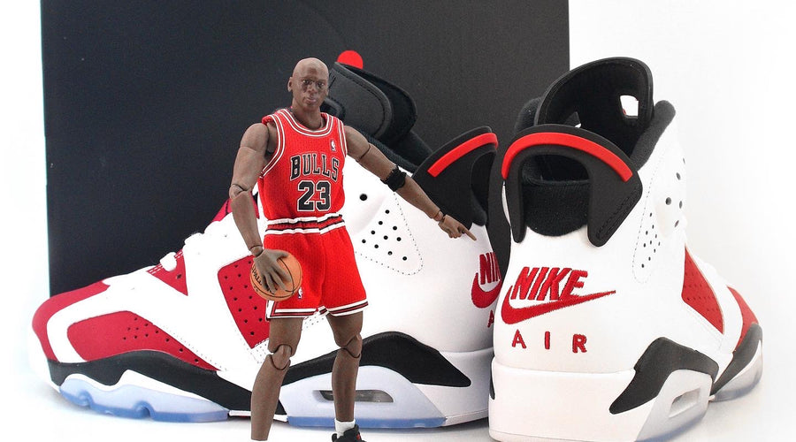 Nike Air Jordan 6