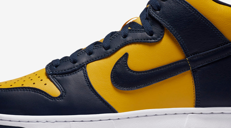 Nike Dunk High
