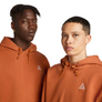 Nike ACG Therma-FIT Tuff Fleece Hoodie Dark Russett/Monarch/Summit White DZ3392-246