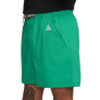 Nike ACG Men's Hiking Shorts Stadium Green/Summit White FN2430-324