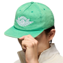 Nike Jordan Pro Rare Air Cap Stadium Green/White IB3009-324