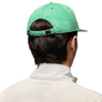 Nike Jordan Pro Rare Air Cap Stadium Green/White IB3009-324