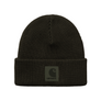 Carhartt WIP Milo Beanie Cypress I032224.63XX