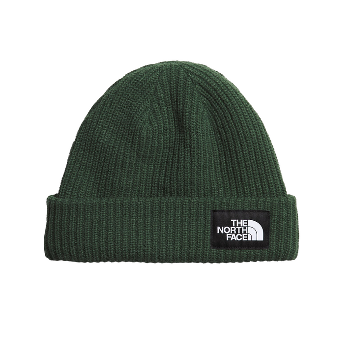 The North Face Salty Lined Beanie Pine Needle NF0A3FJWI0P/R