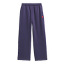 The North Face Women's TNF Red Box Sweatpants Eternal Purple