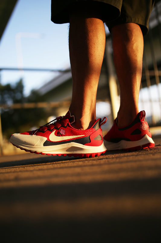 Nike Gyakusou ZM Pegasus 36 Trail