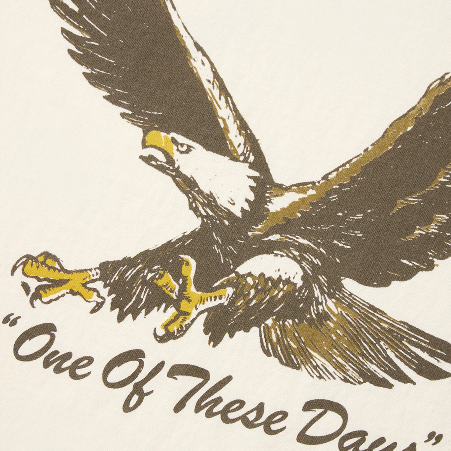 One Of These Days Screaming Eagle T-Shirt Bone