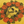 One Of These Days Wreath Of Roses T-Shirt Mustard