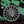 Crocs x Demon Slayer Echo Clog "Tanjiro" Mcha 209317-2ZH