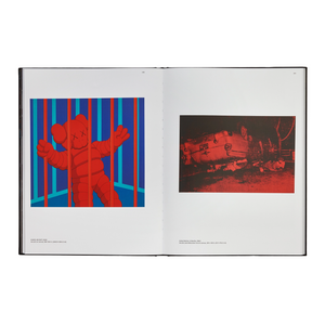 KAWS + Warhol by Maisie Skidmore Hardcover