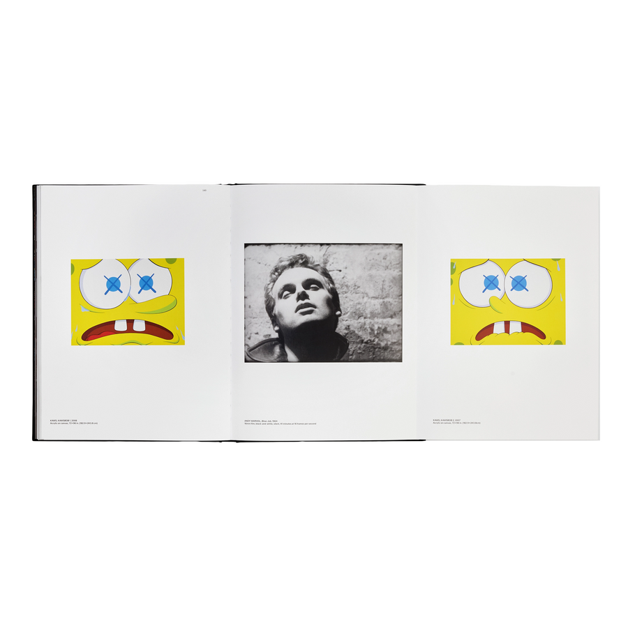 KAWS + Warhol by Maisie Skidmore Hardcover