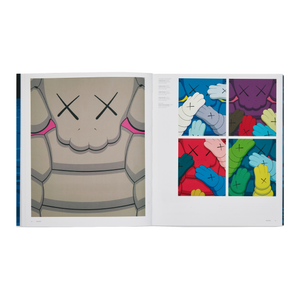 KAWS by Dan Nadel Paperback