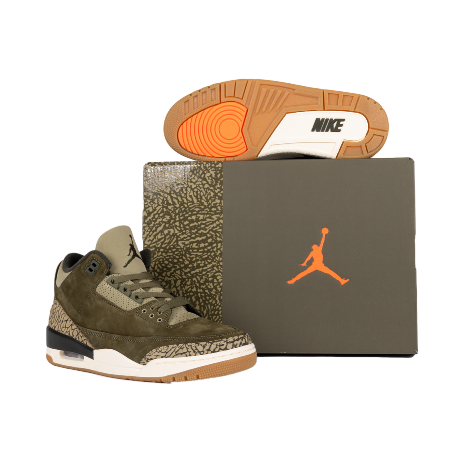 Nike Air Jordan 3 Retro "Family Affair" DN3707-202