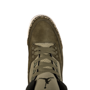 Nike Air Jordan 3 Retro "Family Affair" DN3707-202