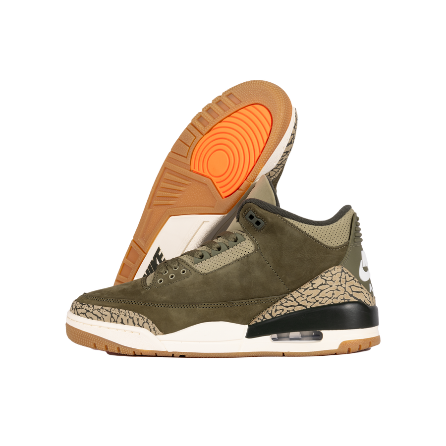 Nike Air Jordan 3 Retro "Family Affair" DN3707-202