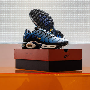 Nike Air Max Plus Black/Chamois/Sky Blue/Hyper Blue DX0755-001