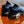 Nike Air Max Plus Black/Chamois/Sky Blue/Hyper Blue DX0755-001