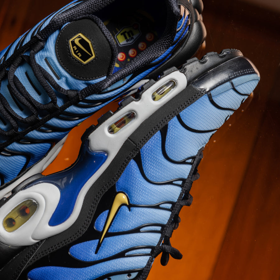 Nike Air Max Plus Black/Chamois/Sky Blue/Hyper Blue DX0755-001