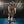 Awake NY Debossed Sweat Shorts Shadow