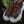 Nike ACG Mountain Fly 2 Low GTX "Dark Smoke Grey" HF6245-002