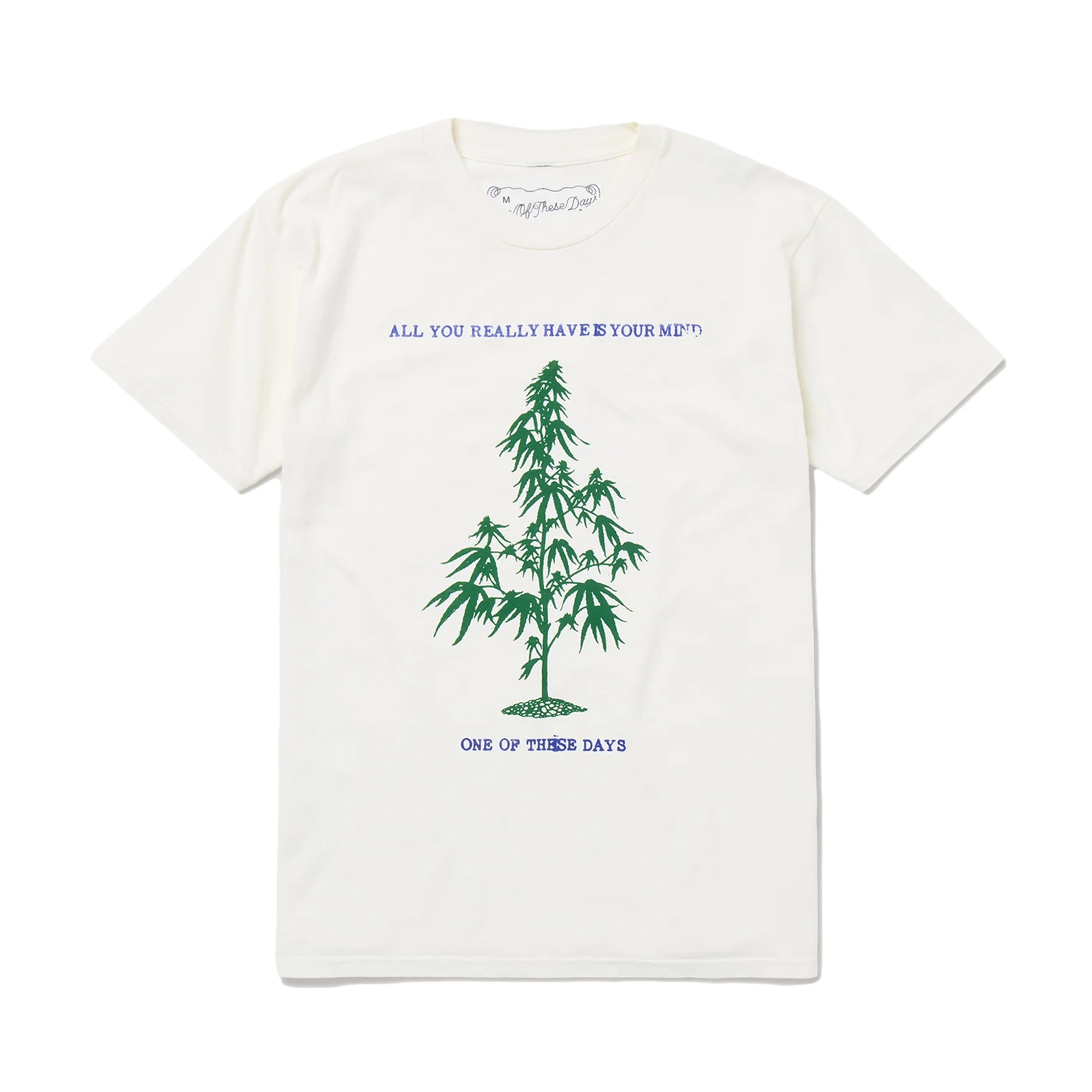 One Of These Days All You Really Have Is Your Mind T-Shirt