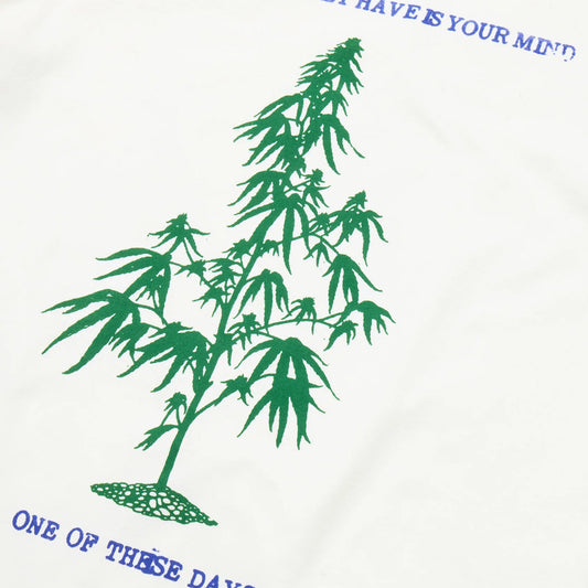 One Of These Days All You Really Have Is Your Mind T-Shirt