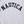 Nautica Japan Arch Logo T-Shirt Ash Grey