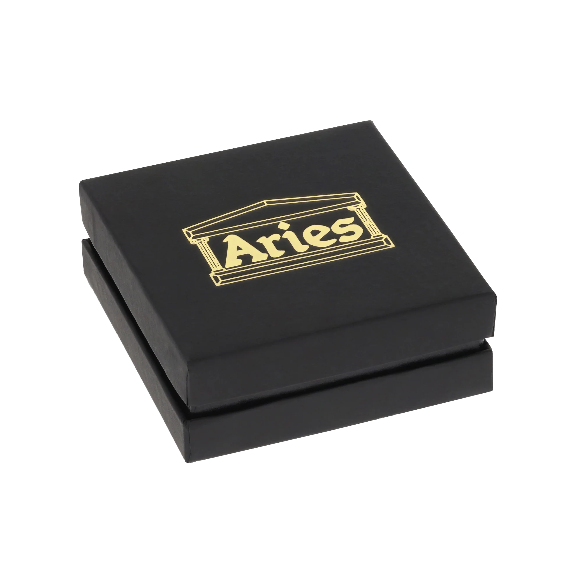 Aries Column Carabiner Silver Necklace Silver