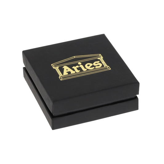 Aries Column Carabiner Silver Necklace Silver