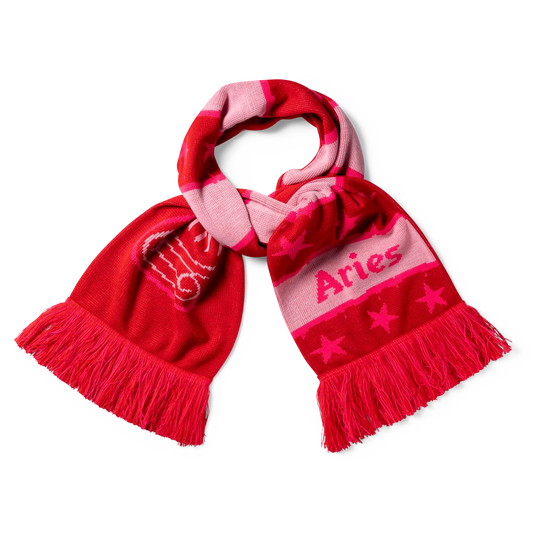 Aries Stripey Column Scarf Hot Pink