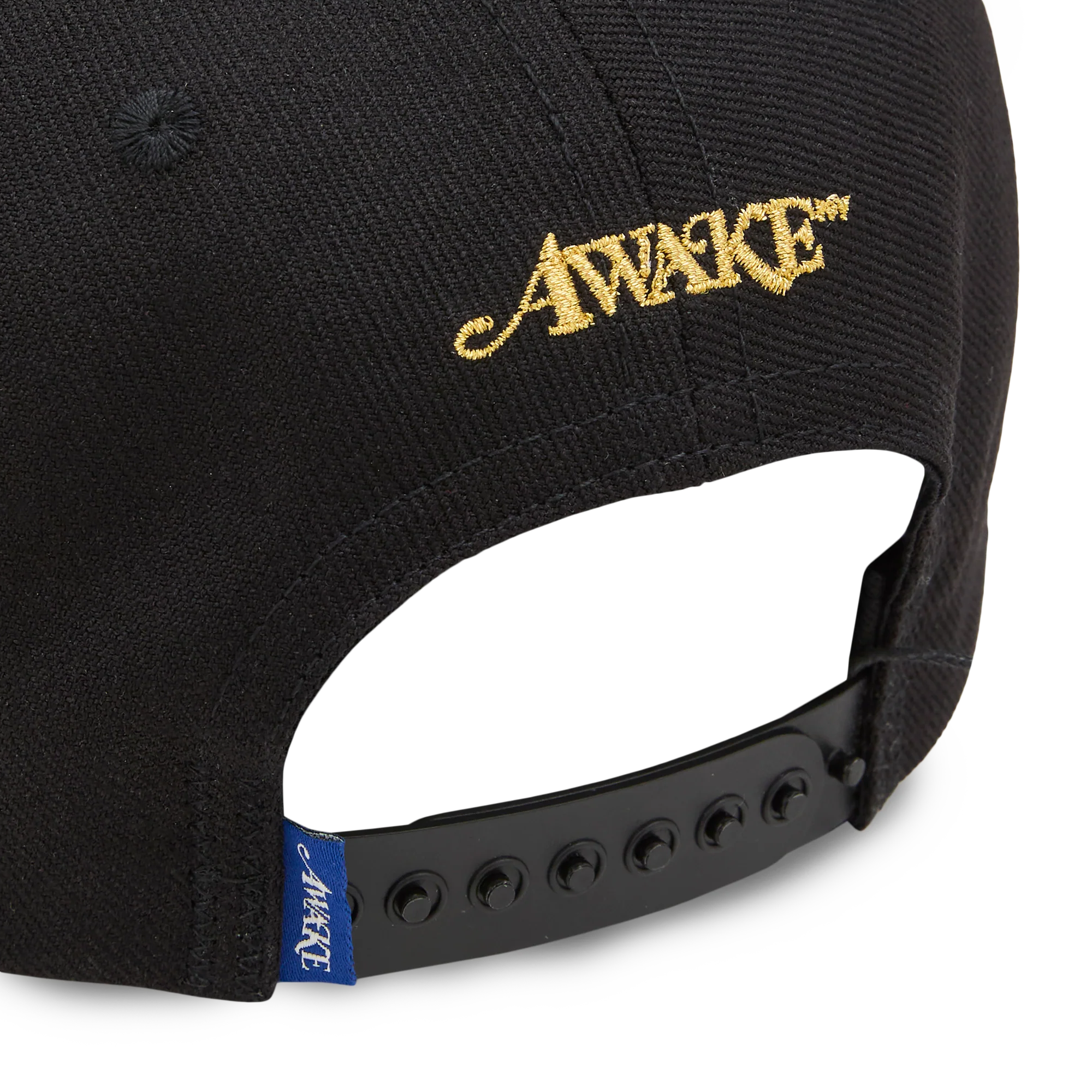 Awake NY Flamboyant Ent 6 Panel Snapback Black