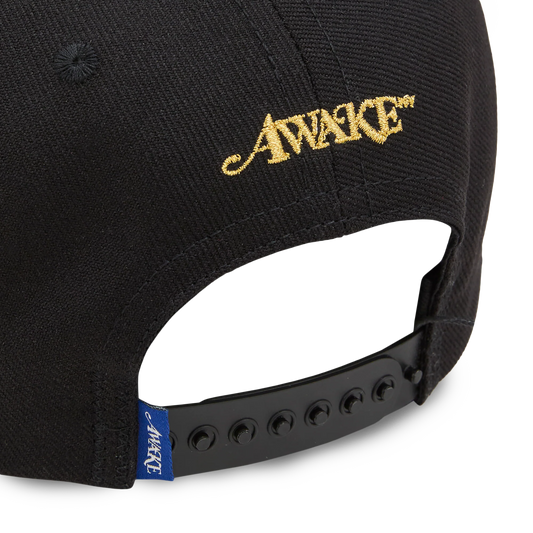 Awake NY Flamboyant Ent 6 Panel Snapback Black