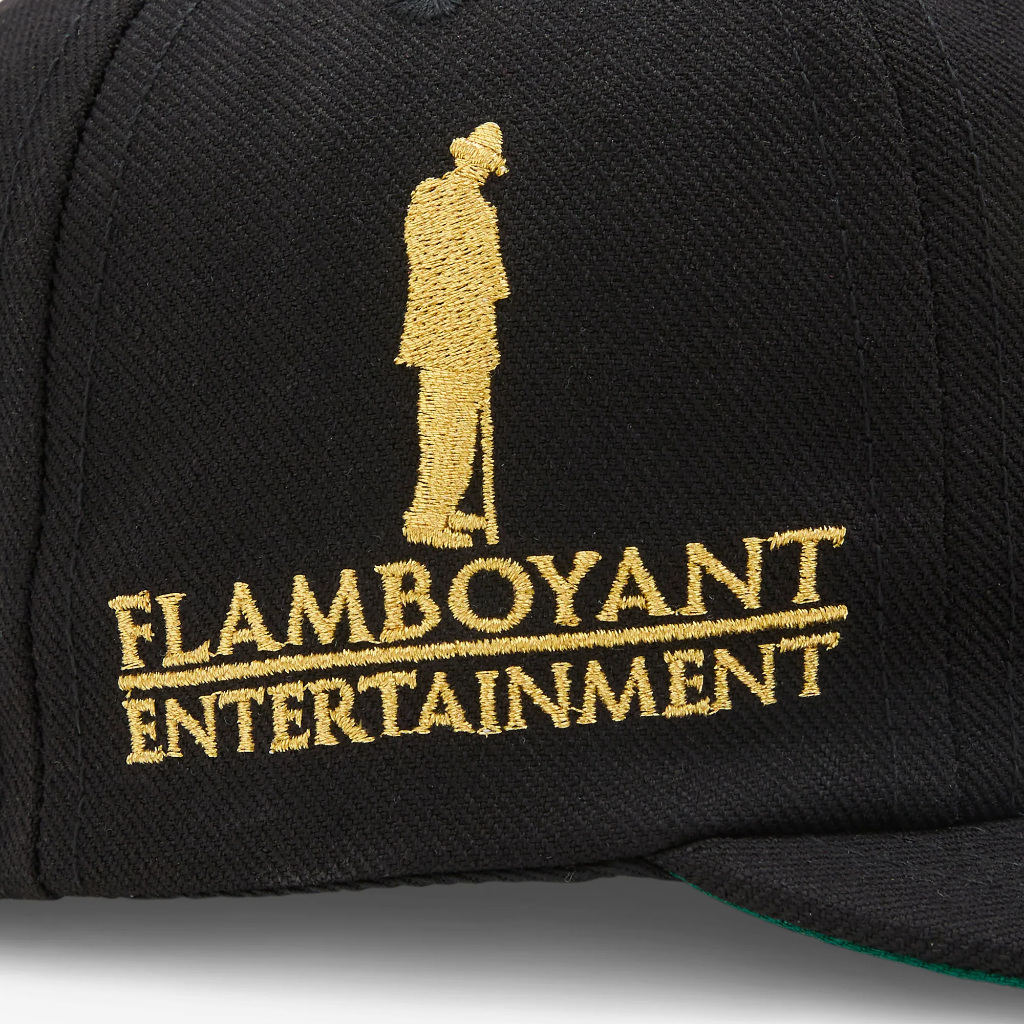 Awake NY Flamboyant Ent 6 Panel Snapback Black