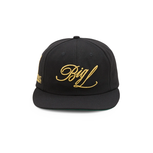 Awake NY Flamboyant Ent 6 Panel Snapback Black