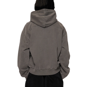 Beach Brains Tour Zip Hood Charcoal
