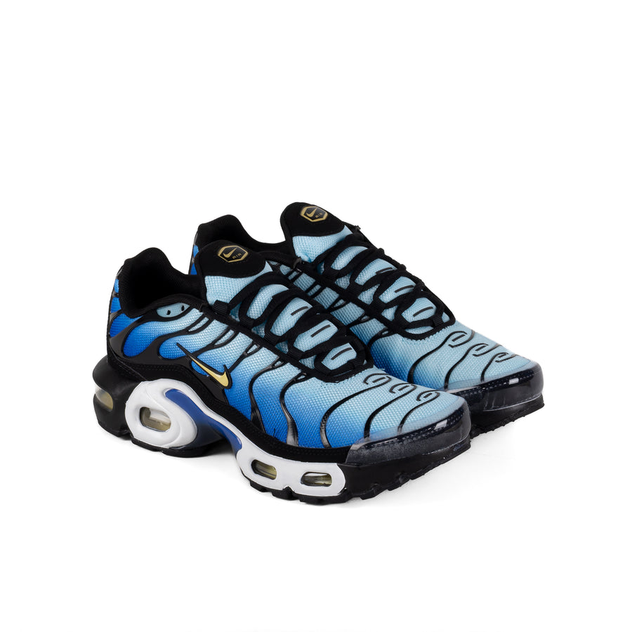 Nike Air Max Plus (GS) Black/Chamois/Sky Blue/Hyper Blue CD0609-032