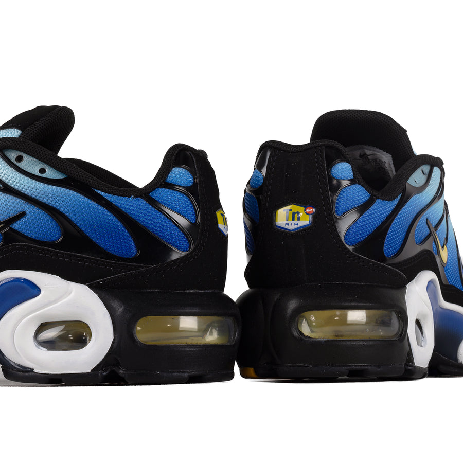 Nike Air Max Plus (GS) Black/Chamois/Sky Blue/Hyper Blue CD0609-032