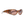 Collina Strada Cocoon Sunglasses Tortoise