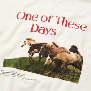 One Of These Days Wild Horses Crewneck Bone