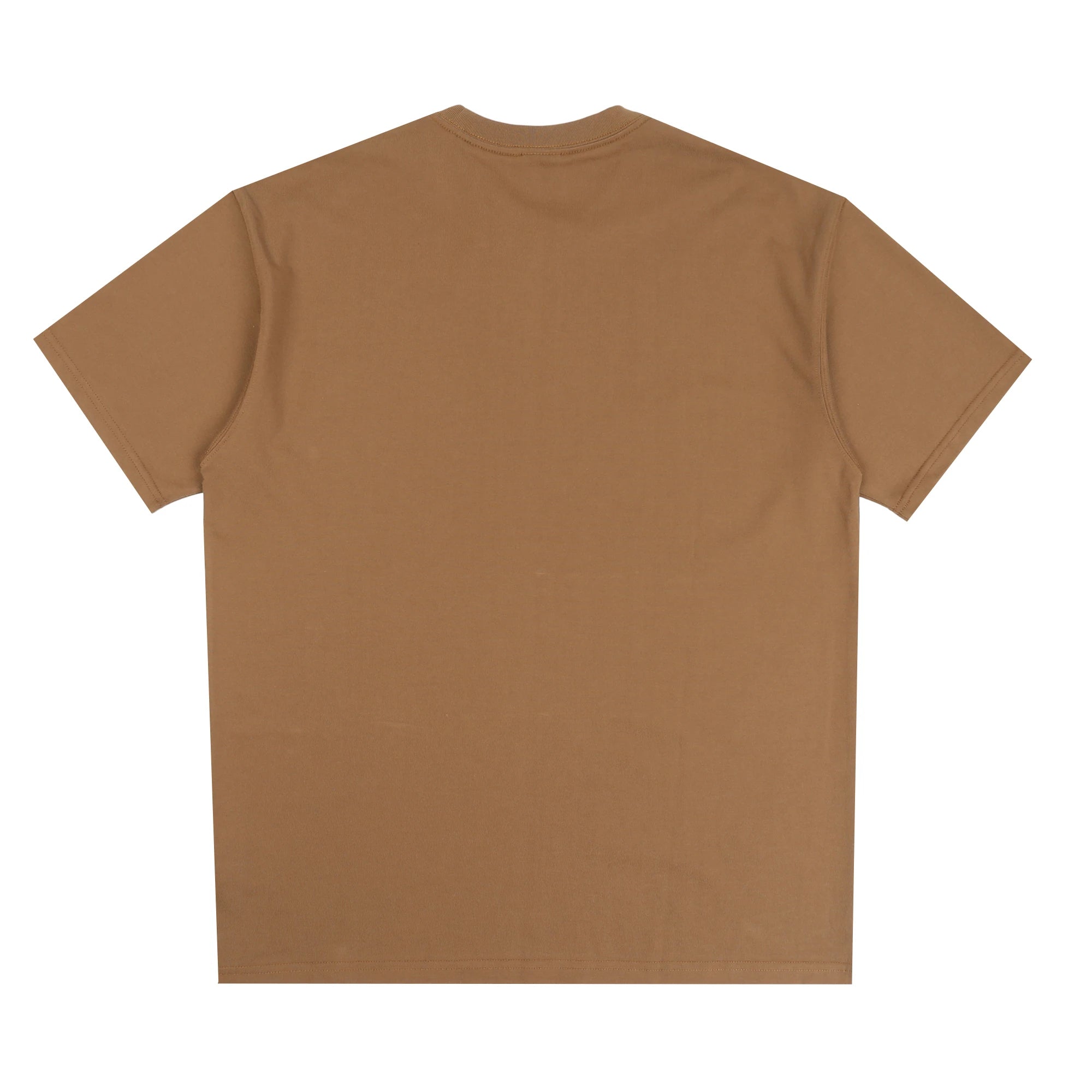 Nike ACG Men's T-Shirt Mosswood Brown DQ1815-235