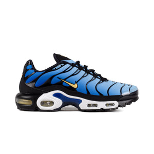 Nike Air Max Plus Black/Chamois/Sky Blue/Hyper Blue DX0755-001