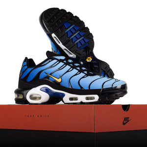 Nike Air Max Plus Black/Chamois/Sky Blue/Hyper Blue DX0755-001