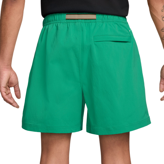 Nike ACG Men's Hiking Shorts Stadium Green/Summit White FN2430-324