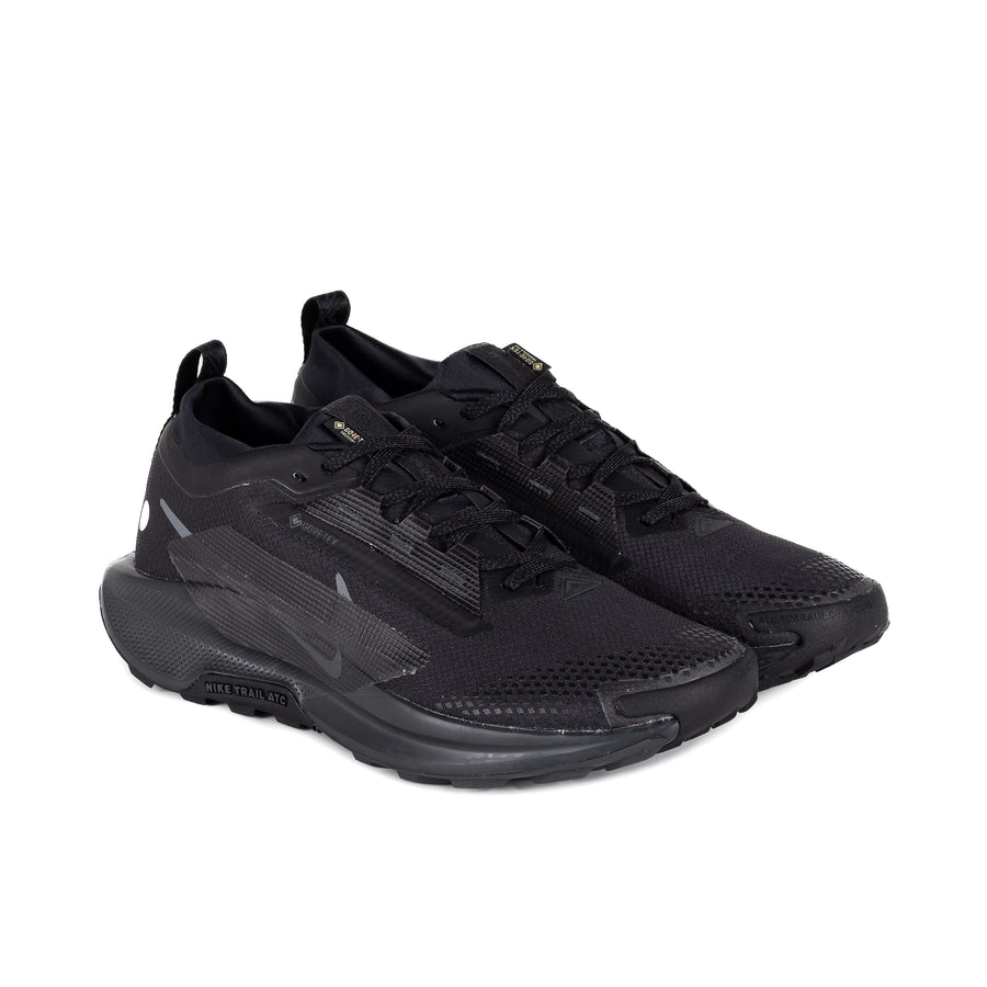 Nike Pegasus Trail 5 Gore-Tex Black/Black/Anthracite FQ0908-002