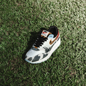 Astro turf 2025 air max