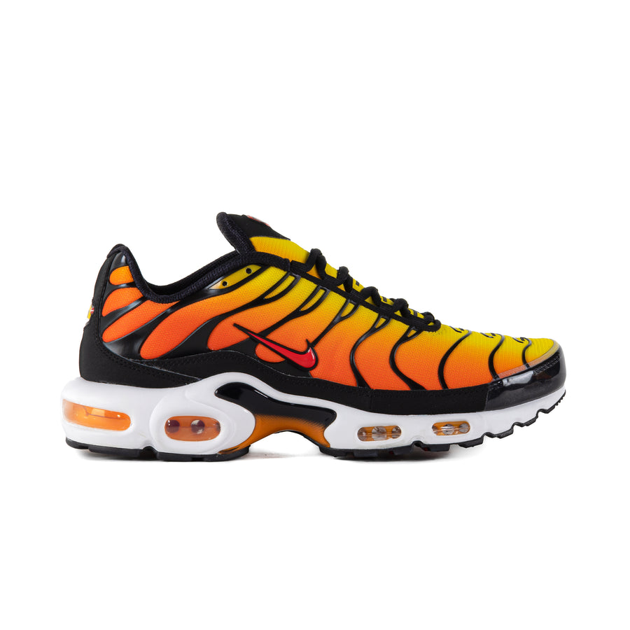 Nike Air Max Plus Black/Pimento/Bright Ceramic/Resin HF0552-001