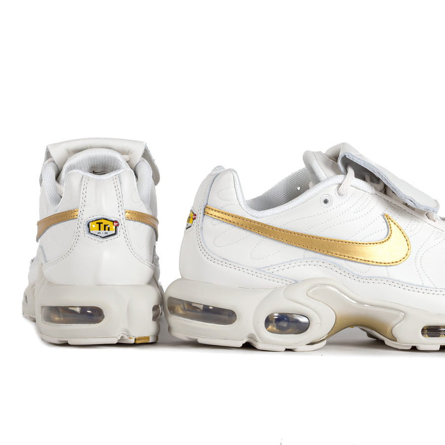 Nike Air Max Plus Tnpo Phantom/Metallic Gold HV2541-001