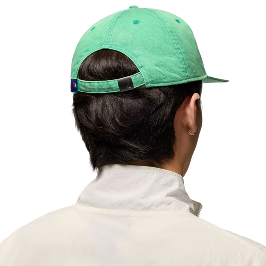 Nike Jordan Pro Rare Air Cap Stadium Green/White IB3009-324