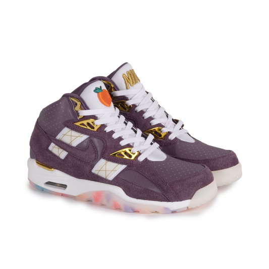 Nike Air Trainer SC SP Pro Purple/White/Sail/Metallic Gold IQ5796-500