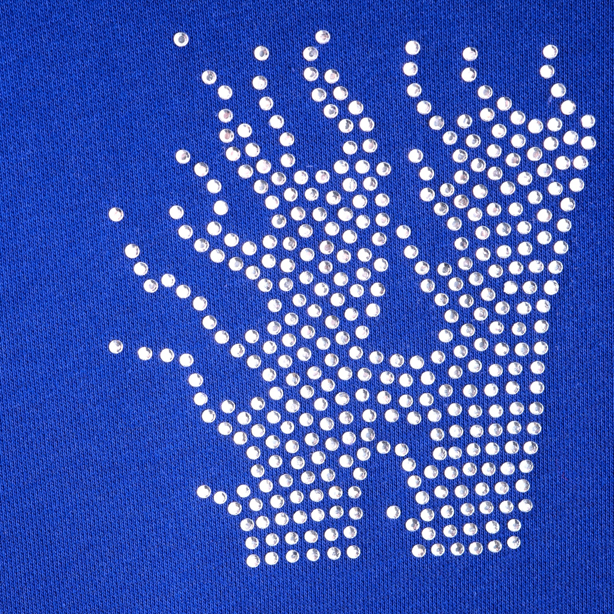 Jungles Jungles Honesty Rhinestone Hoodie Blue